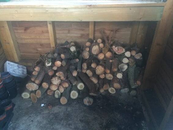Logs