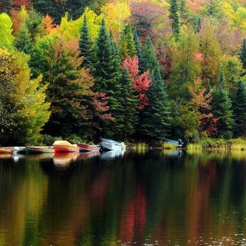 Your complete guide to visiting Ontario