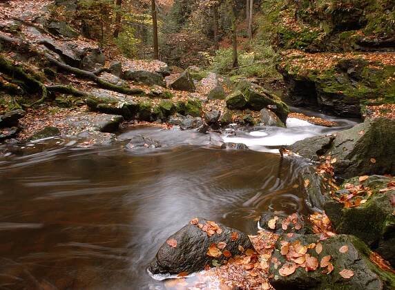Turisty v údolí Doubravy u Chotěboře může letos omezit kácení uschlých smrků
