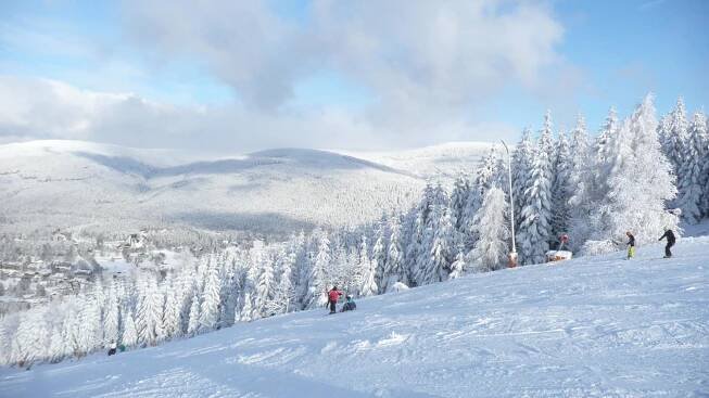 Sjezdové lyžování - Harrachov Info