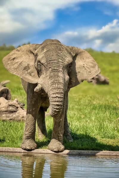Zoo Zlín ve víru novinek. Něco, co jste třeba ještě nezažili | iportaL24.cz