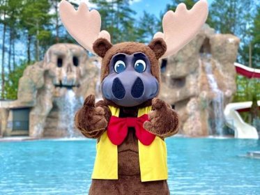 Bruce the Moose Meet and Greet - Moose Hillock Camping Resorts
