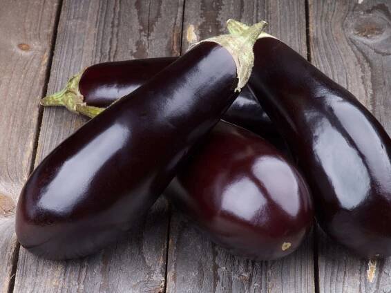 Aubergine im Garten aussäen, anbauen und lecker zubereiten