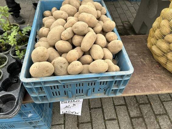 Olomoucká tržnice po zimě ožívá. Co už tam prodávají a za kolik