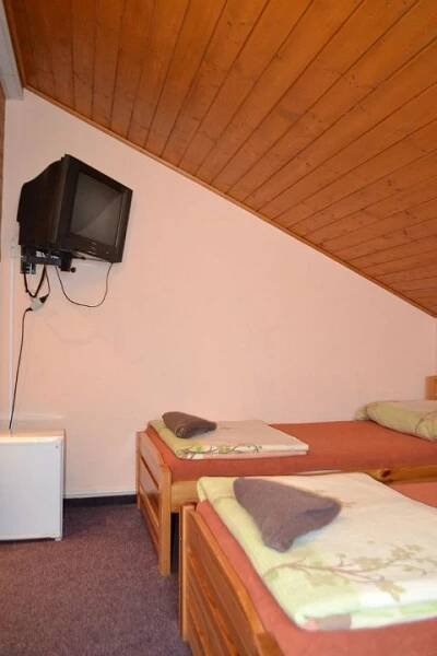 TV a/nebo společenská místnost v ubytování Penzion u Hada + 19 fotografií