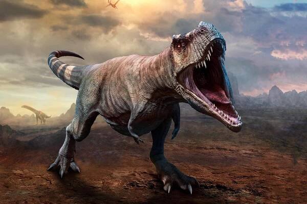 tyrannosaurus 10 facts about tyrannosaurus rex, king of the dinosaurs