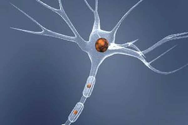 Axonální neuropatie / Neuropatie