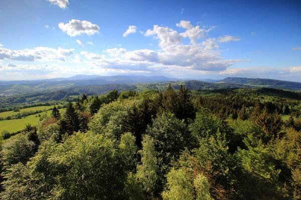 Jestřebí hory - Markoušovice rozhledna 