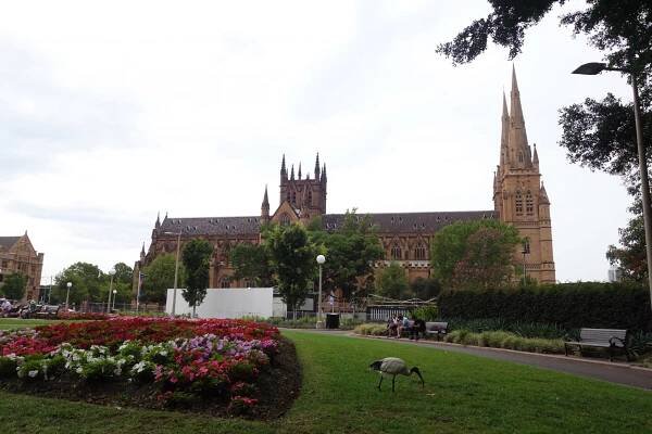 Sydney - Attraktive Stadt von Welt - travelbites
