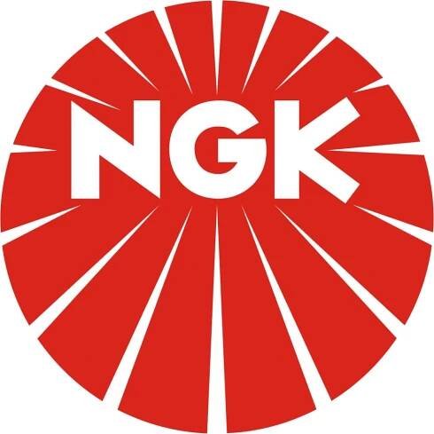NGK DPR8EIX-9