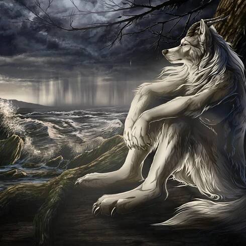 A striking white wolf rests on a rock, with the ocean's waves rolling in behind it.