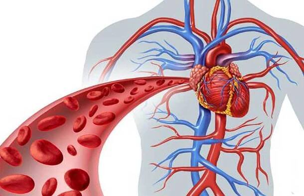 Cardiology - BEHBOUD INTERNATIONAL HOSPITAL