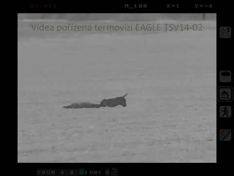 Videa z lovu, termovize Eagle