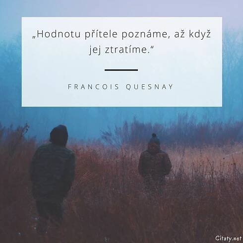 Hodnotu přítele poznáme, až když jej ztratíme.