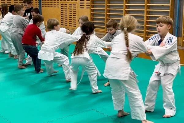 Judo Best Motion foto 1