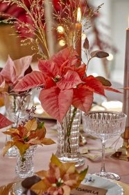 Květinová výzdoba stolu korunovaná vánoční hvězdou | Prima nápady
