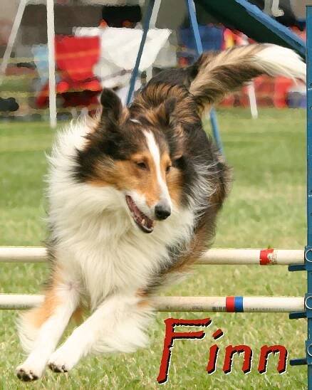 Goodbye, Finn - Tara Choate