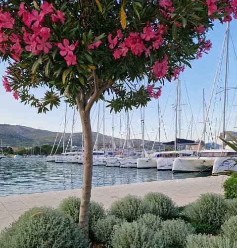 Marina Trogir SCT | Dalmatien - Kroatien | Marina 21