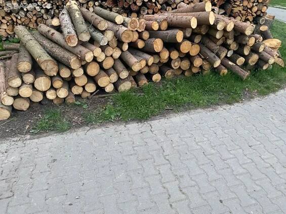 Palivové dřevo - Zlín - Bazar