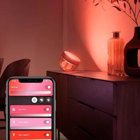 Philips Hue Iris Copper