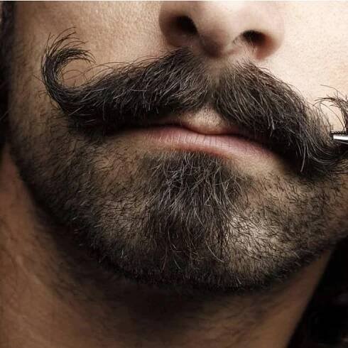 Rocking Moustache | Mustache styles, Mustache grooming, Beard grooming