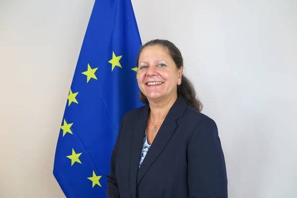 Forging the European Democracy Shield | International IDEA