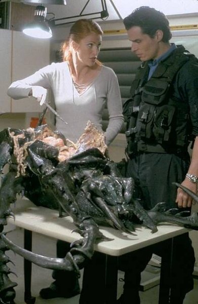 Brouci - Z filmu - Angie Everhart, Antonio Sabato Jr.