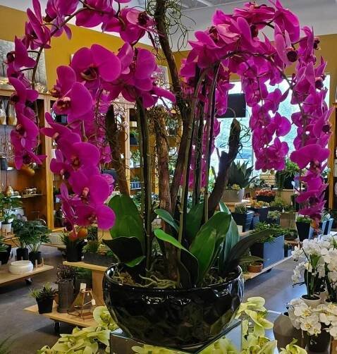 [GP Copy] Florals – Silk Plant Decor and More 