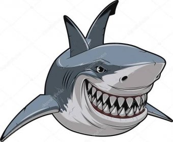 Stáhnout - Vektorové ilustrace, zubatý usměvavý bílý žralok plave — Ilustrace