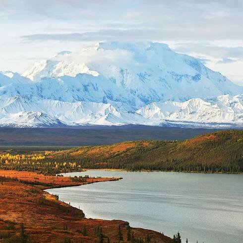 The Best Cabins, Lodges, and Hotels Near Denali National Park