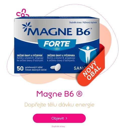 Magne B6