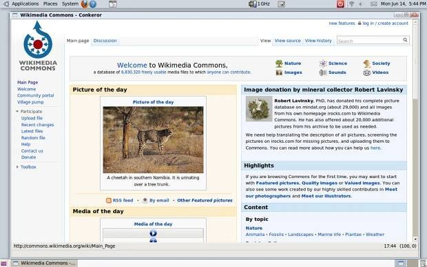 Conkeror - Wikipedia