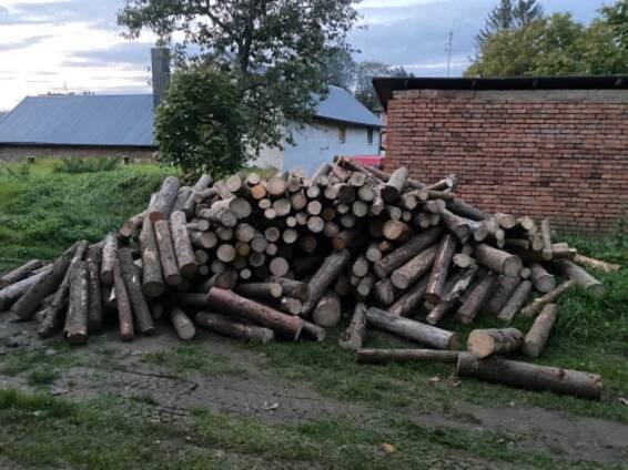 Dřevo Ludwig foto 3