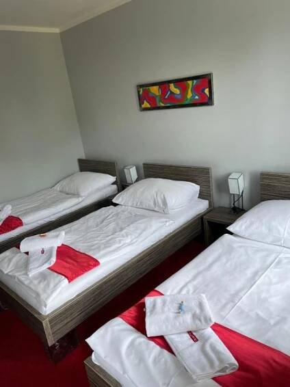 Postel nebo postele na pokoji v ubytování Hotel Olympia