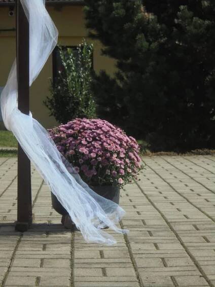 Penzion U Farmáře foto 4
