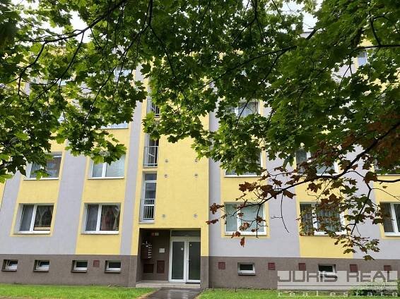 Pronájem Byt 1+1, Vodní, Lovosice