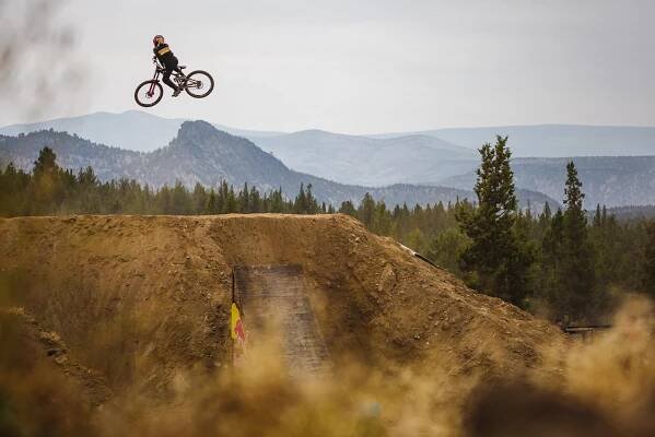 Workhorse Collective - Forward // Casey Brown