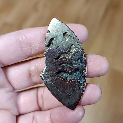 Pyritový Amonit - fragment, ID 3350, 56x28 mm