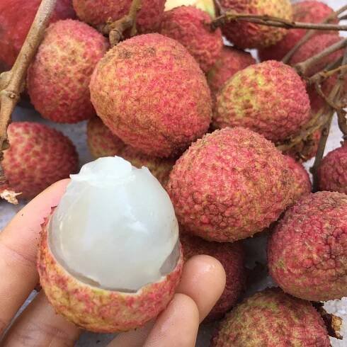 The inside fruit of a Mauritius Lychee 