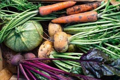 Zeleninová dieta - potraviny, jídelníček, recepty