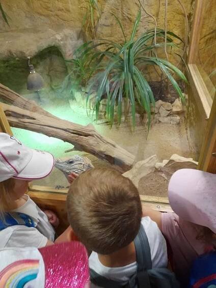 Výlet Kuřátek do ZOO Zájezd - Oficiální stránky ZŠ a MŠ Doksy