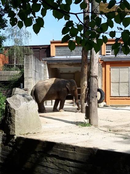 Školní výlet 1. tříd – ZOO Liberec – ZŠ Husitská Nová Paka