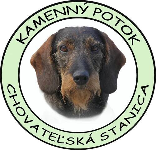 jazveciky