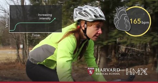 HMX Fundamentals Online Courses - Harvard Medical School