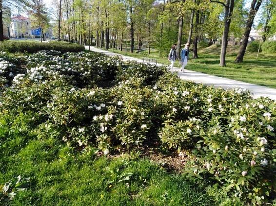 V Klatovech rozkvetl park