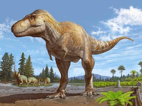 Fossils Reveal a Possible New Tyrannosaur Species, the Closest Relative of T. Rex