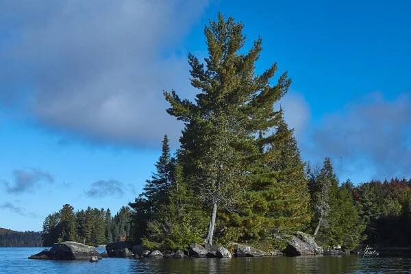 photo of Cook Island, on Canoe Lake