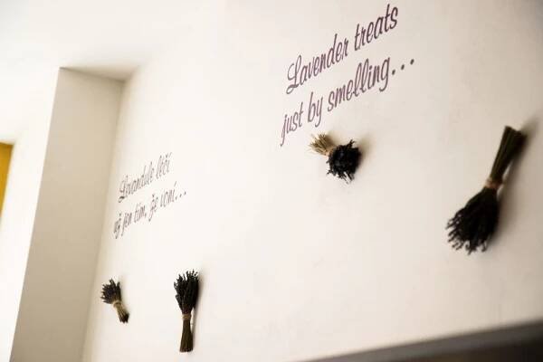 Levandulové bistro Olomouc | Levandulová farma