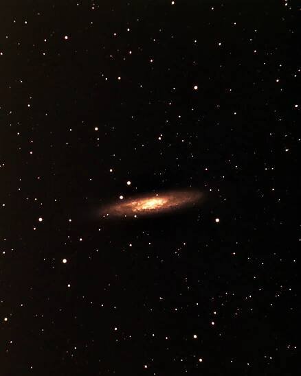 ngc253