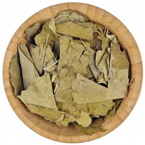 Sušený list Ginkgo Biloba 1kg - Ginkgo Biloba Dvoulaločné listy - Bylinný dvůr